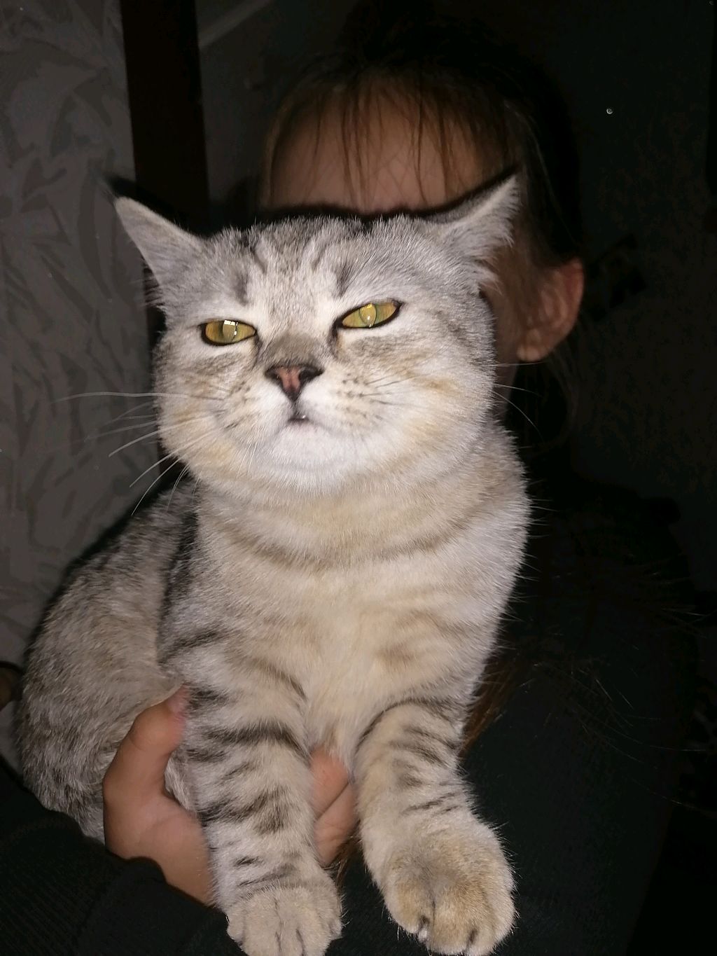Аку