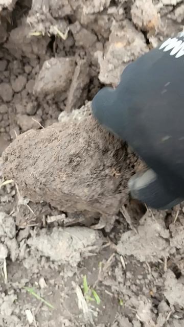 Не думал что тут что-то есть