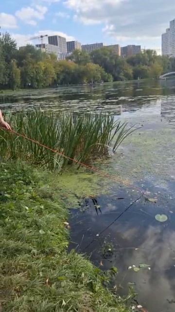Поисковый магнит заброс в городской пруд. #поисковыймагнит