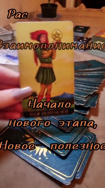 9 сентября.
Карта дня Таро.
ПАЖ ПЕНТАКЛЕЙ.
♦️♦️♦️♦️
Обережный цвет-
Оливковый.
☘️☘️☘️☘️
Число у