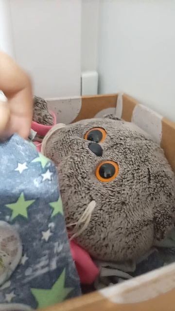 Анатолий боли