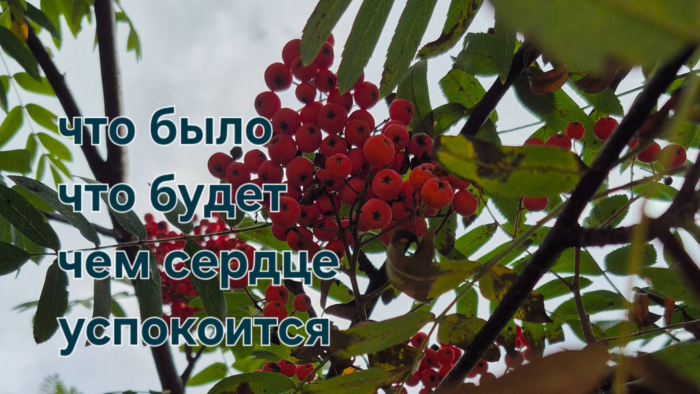 что было , что будет, чем  сердце успокоится