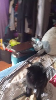 возвращение легенд на канал