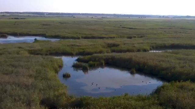 Открытие охоты на утку в Тамбовской области 2023