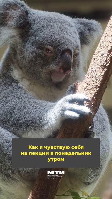 Как ваши дела сегодня?
