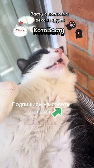 Всё о Васту и ведической астрологии на Телеграм канале https:t.medivyavastufedosova
