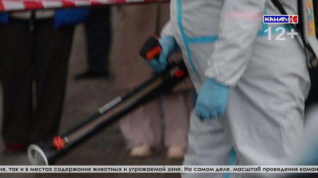 Посёлок Прибрежный стал площадкой для проверки ветеринарных врачей нашей области