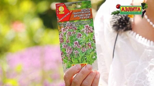 ПРЯНЫЕ ТРАВЫ в вашем саду!