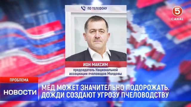 Мёд может значительно подорожать. Дожди создают угроз