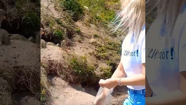 1000227471.mp4