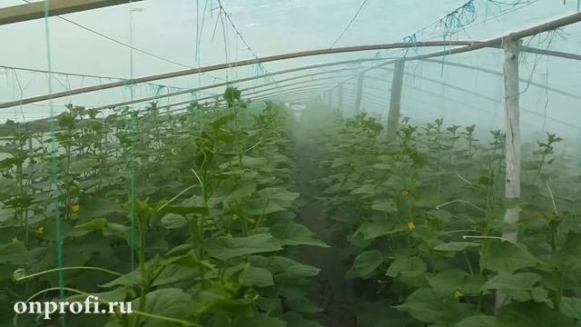 Электрический туманообразователь для теплиц