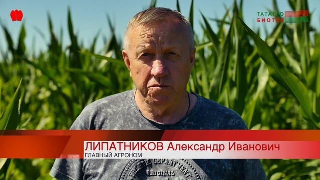 Какие вопросы рассматривает система земледелия?