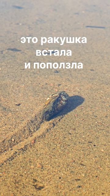 😱