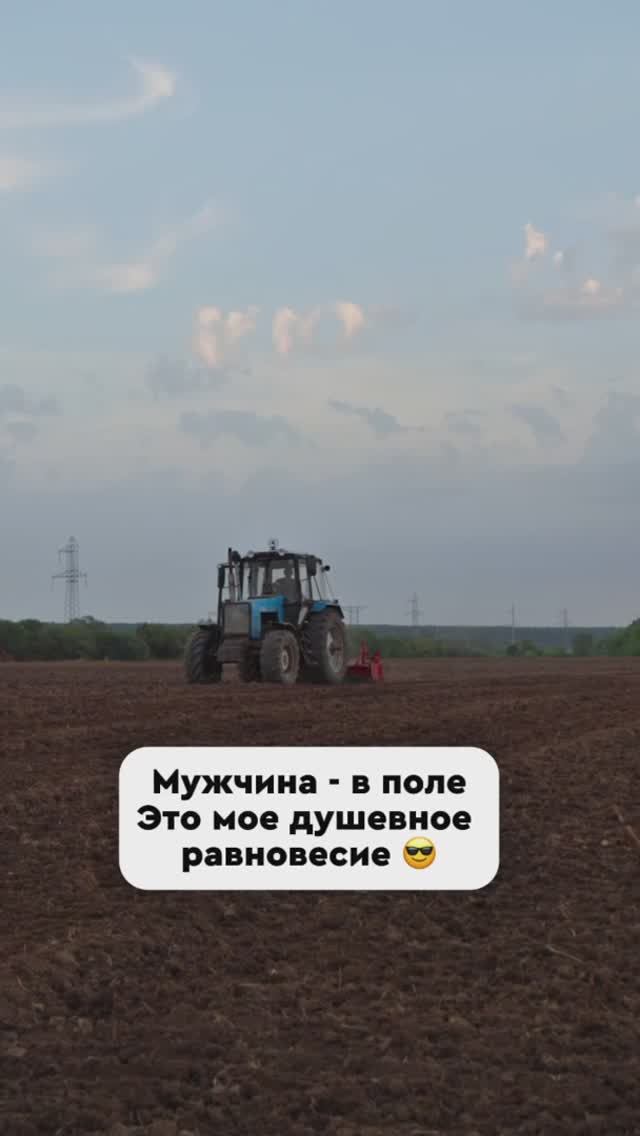 Чесночные поля АгроИнвестРФ лечат душу
