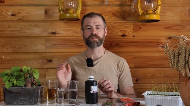 ВСХОЖЕСТЬ БУДЕТ ВЕЛИКОЛЕПНАЯ. Способы обеззараживани