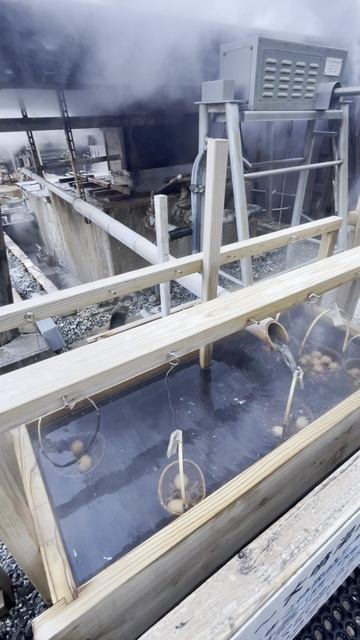 «Кавазу, Сидзуока. Варим яйца в онсене!»