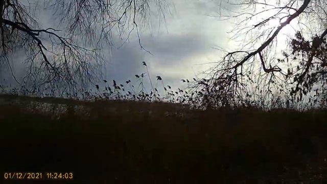 Разные ягоды в декабре