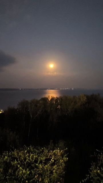 Лунная дорожка