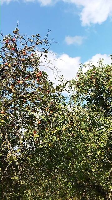 Тем же днём тем же часом где то тут же под боком )))))