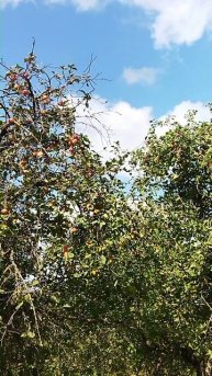 Тем же днём тем же часом где то тут же под боком )))))