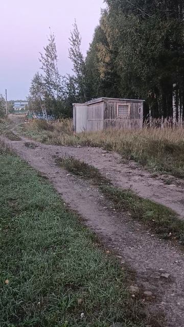 9 августа 2025 года.