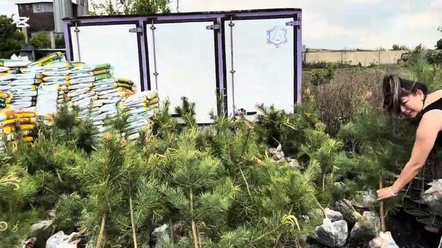 Сегодня акция 50 % на всю рассаду цветов , овощей и куста