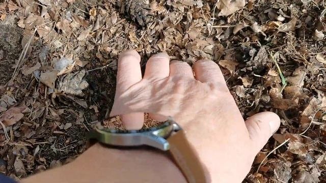 Павловния: обзор о новых почках. Мульчирование. Ферма ?