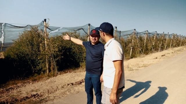 10 000 тонн яблок в год: история успеха компании DALA-FRUIT.KZ