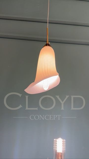 Cloyd_11887