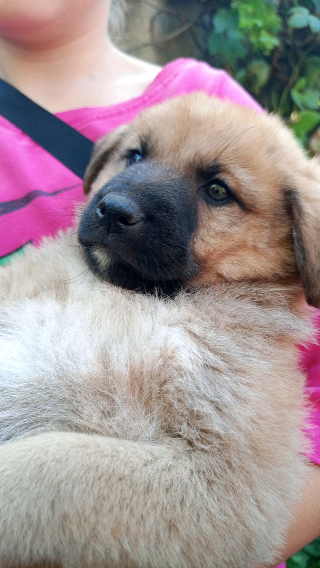 я удаляю аккаунт