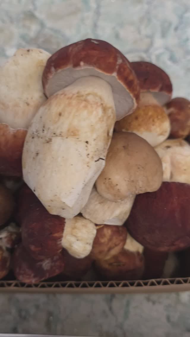 Белые грибы с осетриной в духовке, вкусно очень