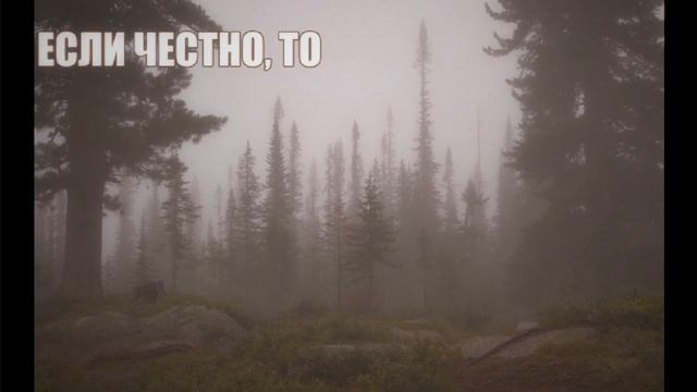 [Relax Видео] Лиственный Лес VS Хвойный | Evil Forest