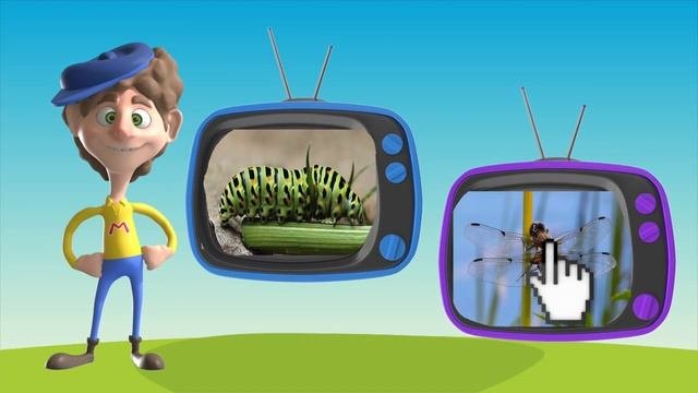 Bugs Part 2 _ What Do You See Song Animation _ Dream English Kids