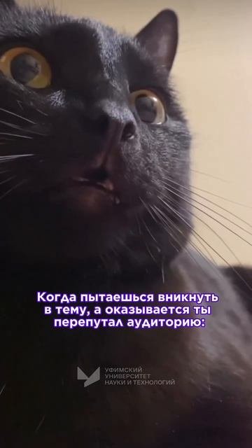 Когда перепутал аудиторию