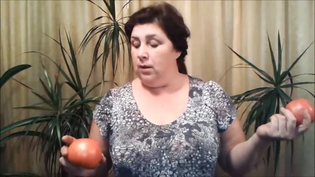 Китайские теплицы в октябре