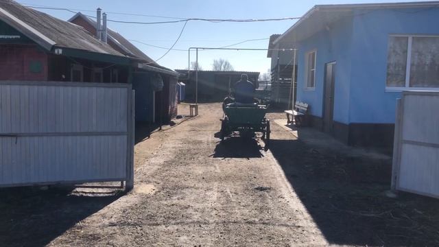 Мальчик и Яник