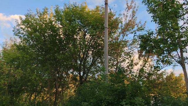 09-09-2025 деревенская прогулка во вторник вечером