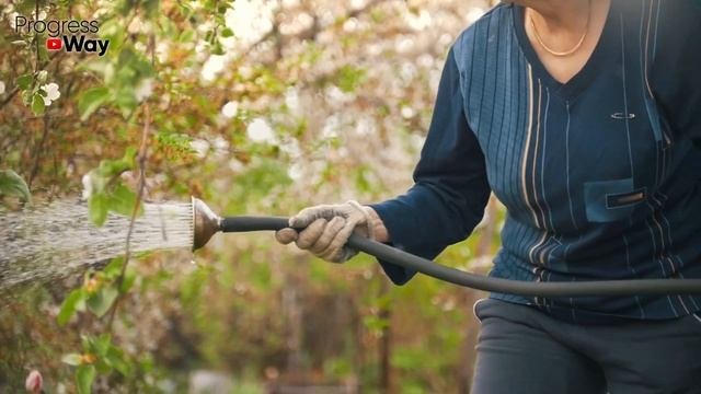 Осенняя Влагозарядка Вишни Яблони И Других Плодовых П