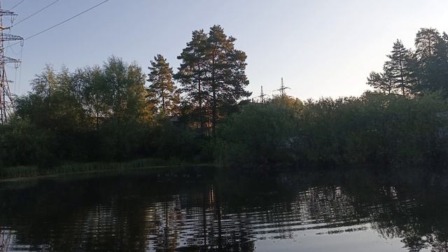 Магнолия