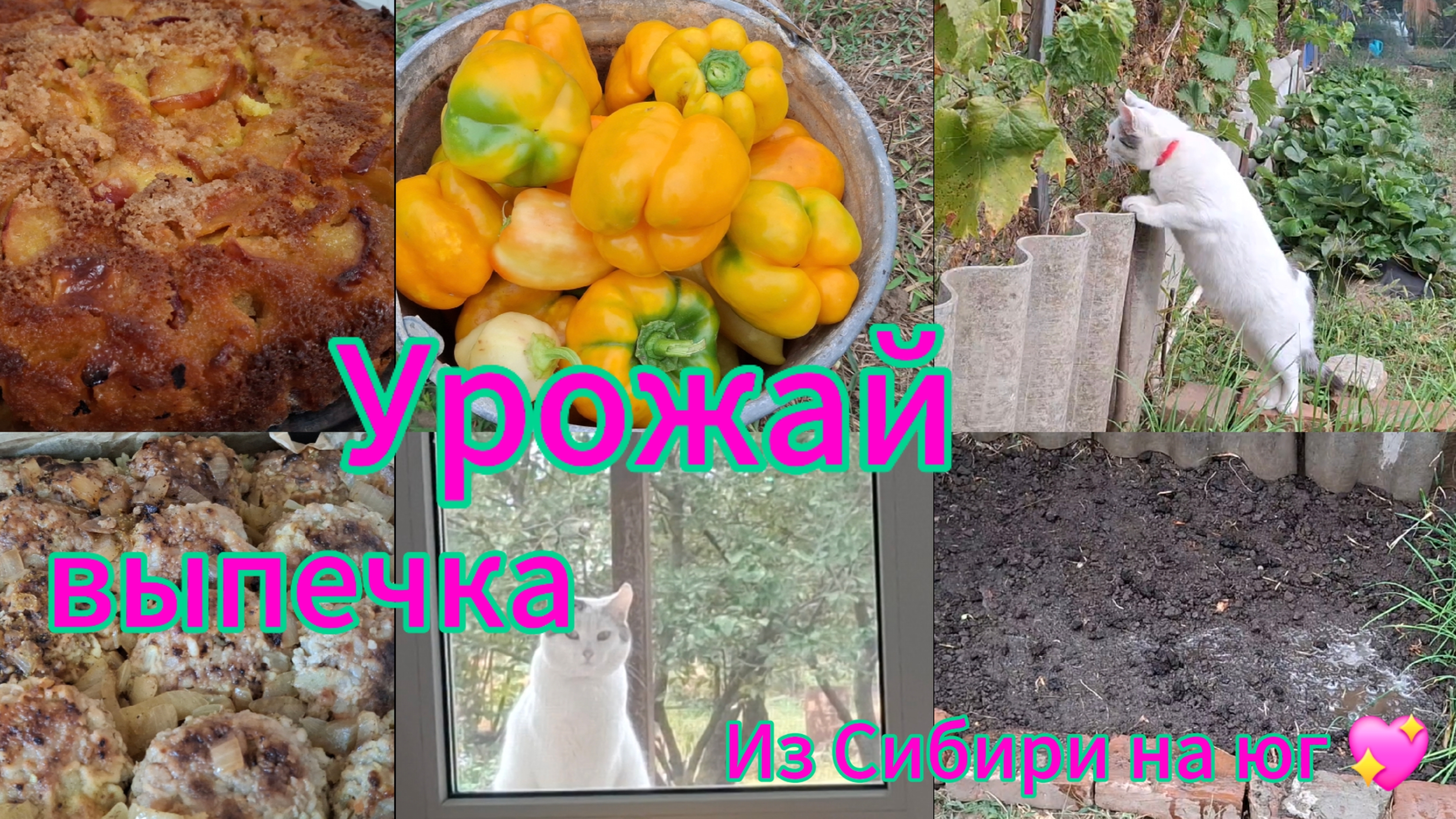 Переезд из Сибири на юг 💖/ Купили дом на юге ☀️/ шарлотка/Тефтели/ сею семена/Гроза/