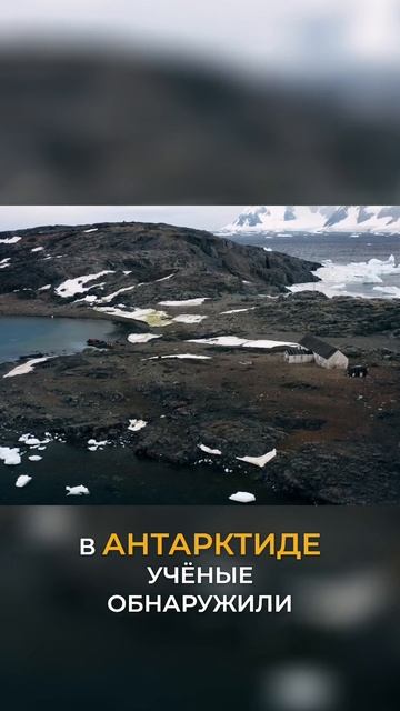 Антарктида помогает найти способы восстановления нашего мира!
