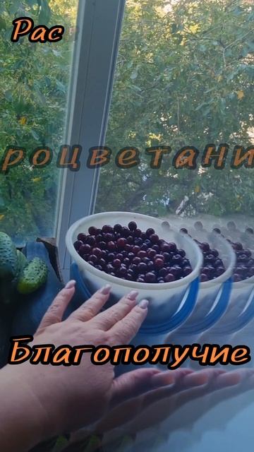 9 сентября.
АСТРОЛОГИЯ ДНЯ.
Преодоление препятствий , работа.
(Приведет к успеху.)
Комфорт, процве