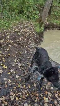 Бонита и Джанко