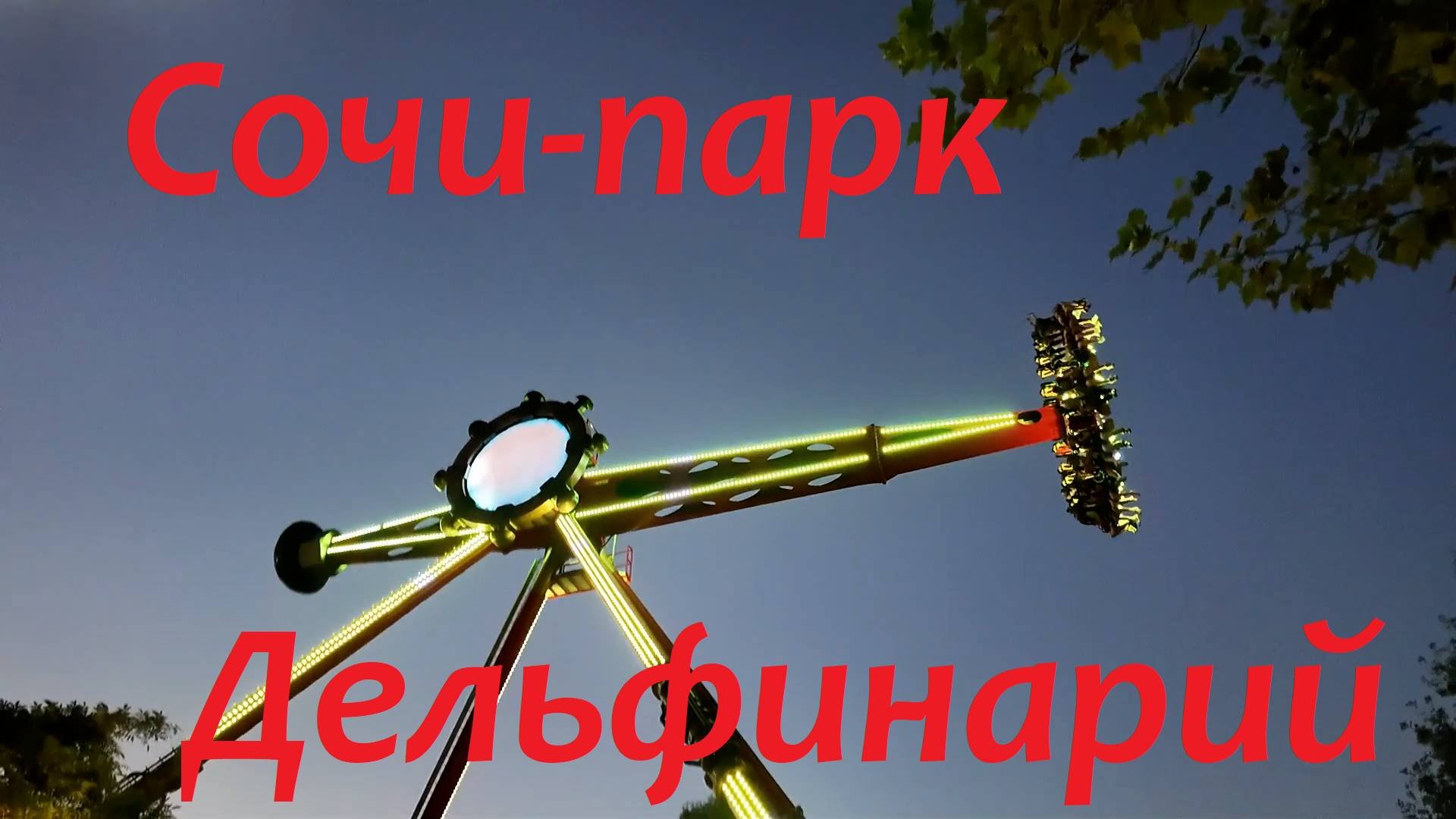 Сочи-парк. Аттракционы.Дельфинарий.