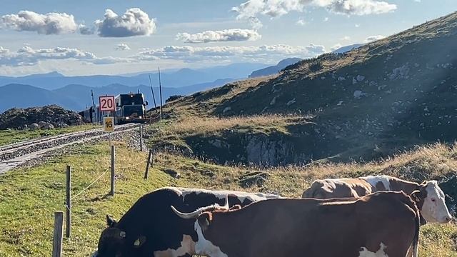 2025.09.06 - Schneeberg в Австрии на поезде, 1800м над уровнем моря
