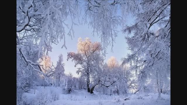 Не оставляй меня одну - Зара