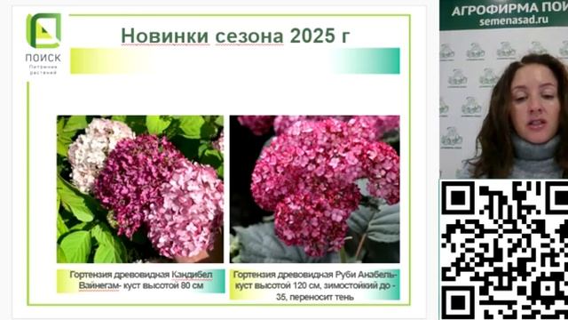 NEW 2025! Новинки клематисов. Новинки декоративных кустар
