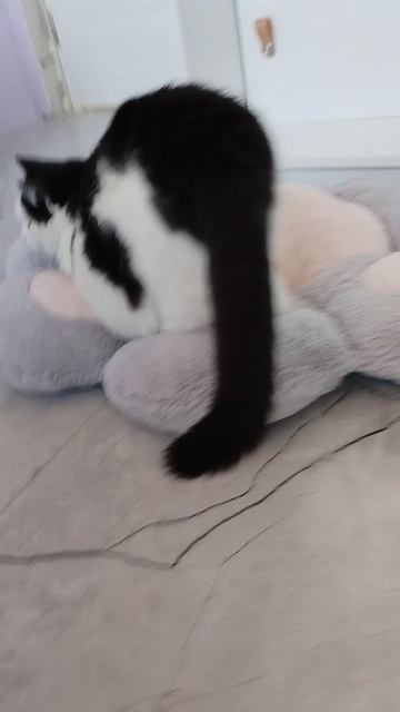 VID_20250910_163806.mp4