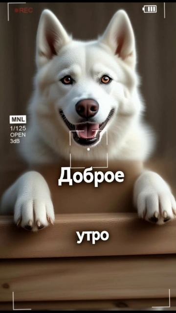 Доброе утро желаю хорошего дня доброеутро