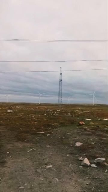 Ветряки. Север.❄❄❄❄❄